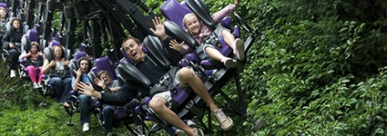 Enjoy savings on your online tickets